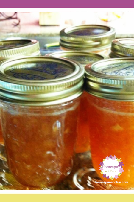 APRICOT  JAM