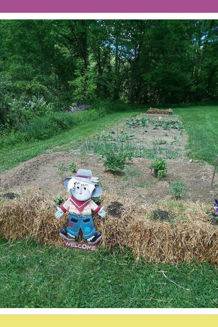 ENRICHING AND SUSTAINABLE GARDENING