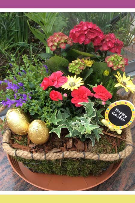 UPLIFTING PLANT ARRANGEMENTS