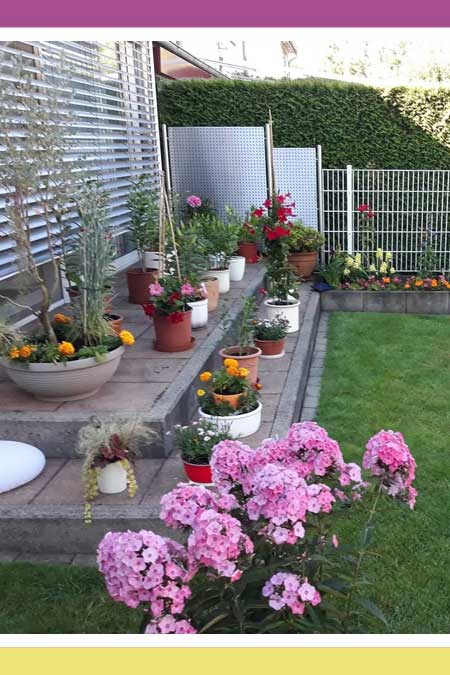 FLOWERS FOR POLLINATORS