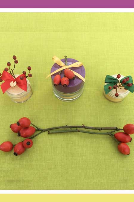 DIY ROSEHIP LIP BALM