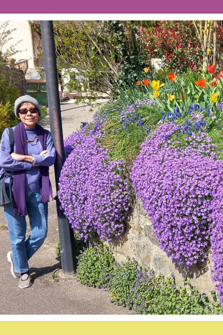 PURPLE ROCK CRESS, TRULY PURPLE