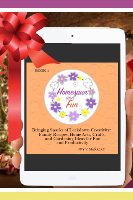 JOYFUL MOMENTS WITH HOMESPUN AND FUN