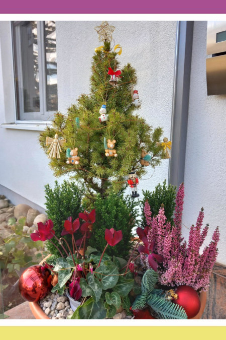 ZITA’S  WHIMSICAL CHRISTMAS GREENERY 