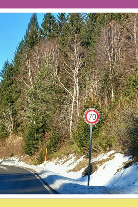 WHISPERS OF WISDOM OF THE PINES