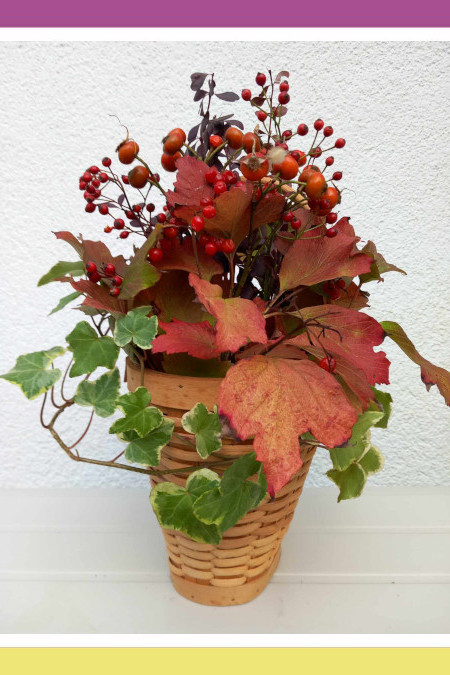 ZITA’S OLD RELIABLE -- ENGLISH IVY