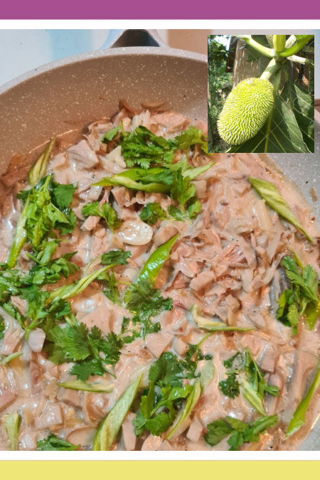 GET TO KNOW THIS TROPICAL TREASURE: KAMANSI/GINATAANG KAMANSI (Breadnut)