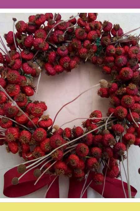 VALENTINE ROSEHIP WREATH